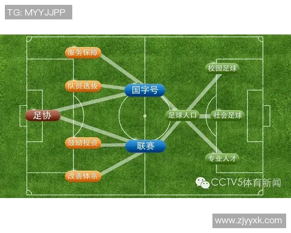 南京足球队实力对比深度解析与未来发展潜力展望